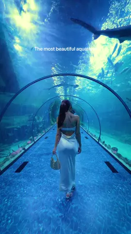 Who would you go here with?  #traveltiktok #travel #beautifuldestinations 