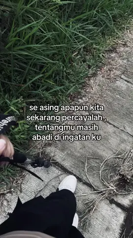 #foryoupagе #fyp #4u #galaubrutall #xyzbcaa 