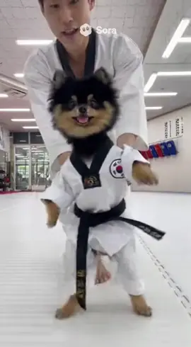 태권도 청삼이