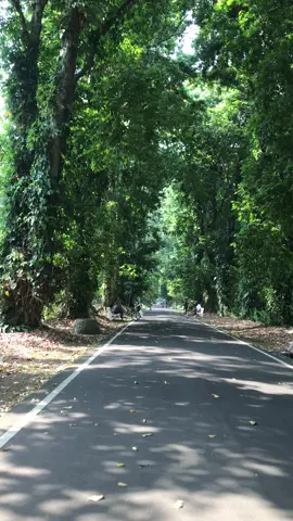 Lumayan buat prank temenmu, biar dikira lagi jalan jalan padahal mah dirumah 😂 📍Kebun Raya Bogor #videomentahan #prankvideo #fyp #mentahan #kebunrayabogor 