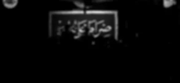 عباس مالحكت انخاك من صيحت 💔 #سيد_فاقد_الموسوي #اكسبلور #fyp #viral 
