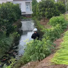 Cho ae chiêm ngưỡng lại skill ngày đầu lập kênh của tui 😂#xuhuong #mtphuhao #caulure #lurefishing 