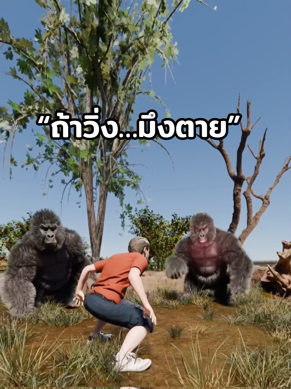 “เจอกอริลลา อย่าหาเรื่องจ้องตา” 👀 #เรื่อง #สาระความรู้ #ความรู้รอบตัว #ฟิดดดシ #เรื่องจริง   Cr.Zack D Flims