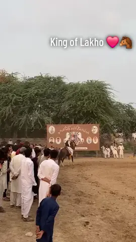 #kingoflakho❤👑 #repost #foryou @Afnan ansari 786 @Aoun sipra @Maher tahir abbas sahmal ☠️🔥 @hamadpakhrana @Hammad Bakhtawar Sipra @Mhar Umar Saeed Sipra @KING OF LAKHO🐴 