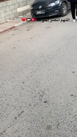 🇹🇳🇵🇸❤️