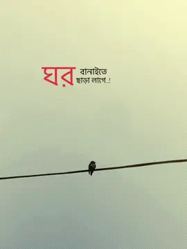 ঘর বানাইতে ছাড়া লাগে..! 😄❤️‍🩹#foryoupageofficial #foryoupage❤️❤️ #bdtiktokofficial🇧🇩 #trendingtiktok #grow @TikTok @TikTok Trends 