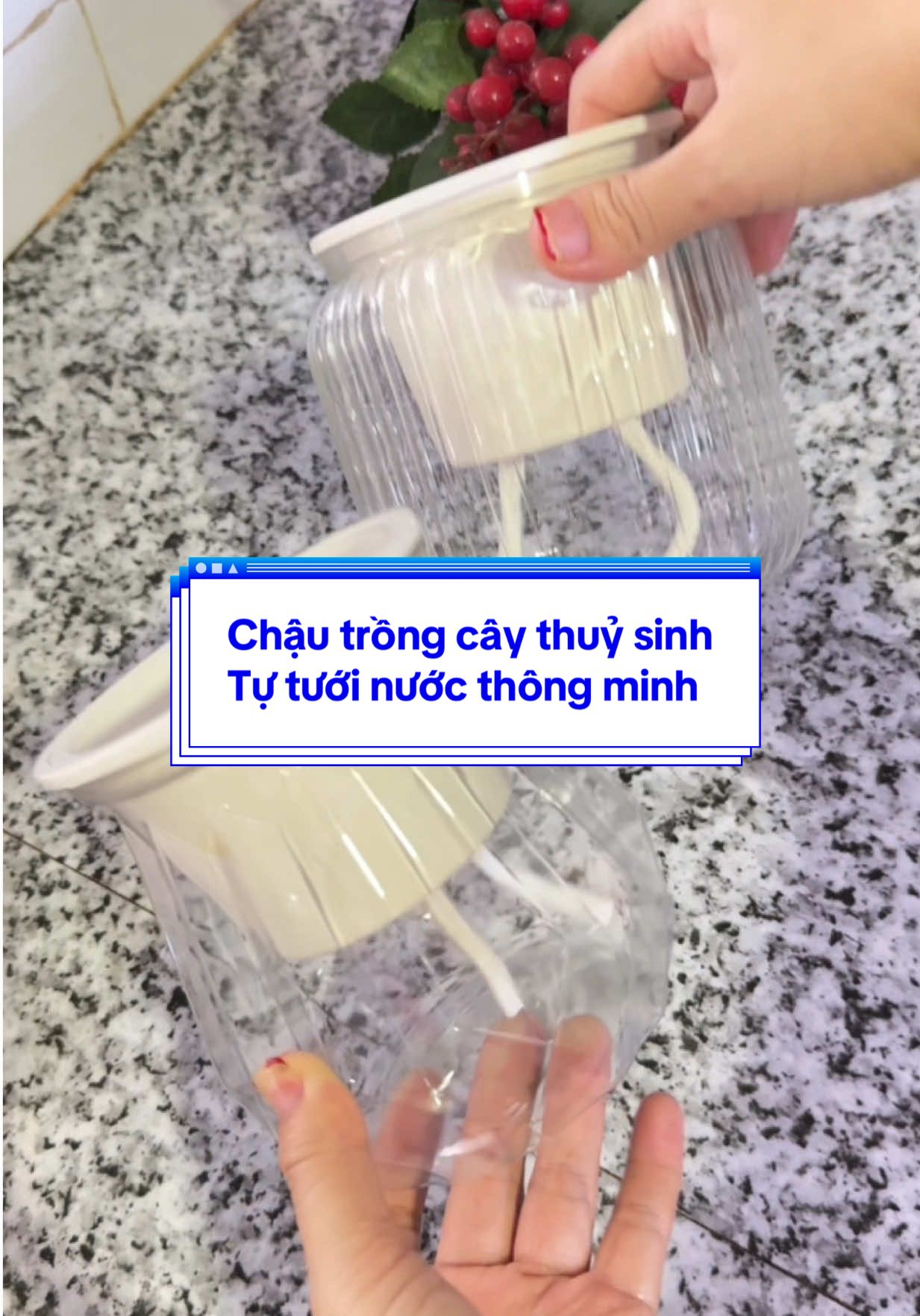 Chậu trồng cây thuỷ sinh tưới nước thông minh dành cho người bận rộn. #me2conTinMiu #chaucaymini #dogiadung #tiepthilienket #xuhuong 
