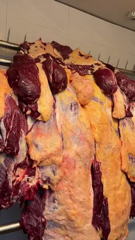 ፍቅሬ ኩንስፓኛ ጥሬ ስጋ 1 ኪሎ - 3,000 ብር ግማሽ ኮንቦ - 2,500 ብር ጋዝላይት 1 ኪሎ - 3,000 ብር ምላስ ሰንበር 1 ኪሎ - 1,000 ብር 📍ገርጂ ኢምፔሪያል ከሳሚ ህንፃ ፊት ለፊት #habeshatiktok #oromotiktok #amharatiktok #tigraytiktok #addisababafood 