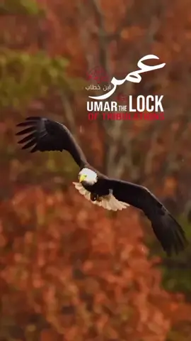 REPOST REQUEST 🙌❤️‍🔥💫  : : : #pleaseunfreezmyaccount  #veiwsproblem #foryoupage #100k #akhtar_baloch2.0
