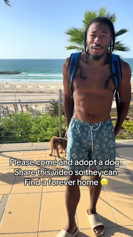 Adopt a dog Friday… I know it’s last min but you can go whenever and pick you up a puppy…  #overseas #tlv #Lifestyle 