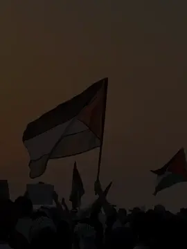🇵🇸🫀 #foryou #fyp #foryoupage#_jannat412 