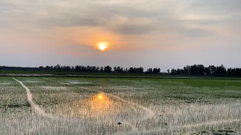 Miền tây bình yên quá nè 😉#canhchill #mientayquetoi #dongthap #canhqueyenbinh #hoanghon 
