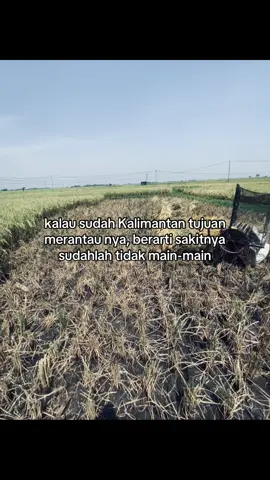 😇🤲🏽 #fyp #kalimantanpride🔥 