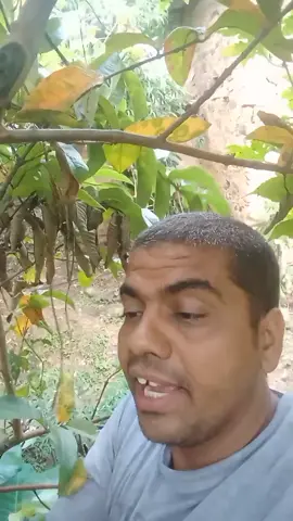 #creatorsearchinsights #foryoupage❤️❤️ #viralvideo #tiktokviral #foryoupage❤️❤️ स्वस्थ रहन प्राकृतिक फलफूल खानुहोस् 