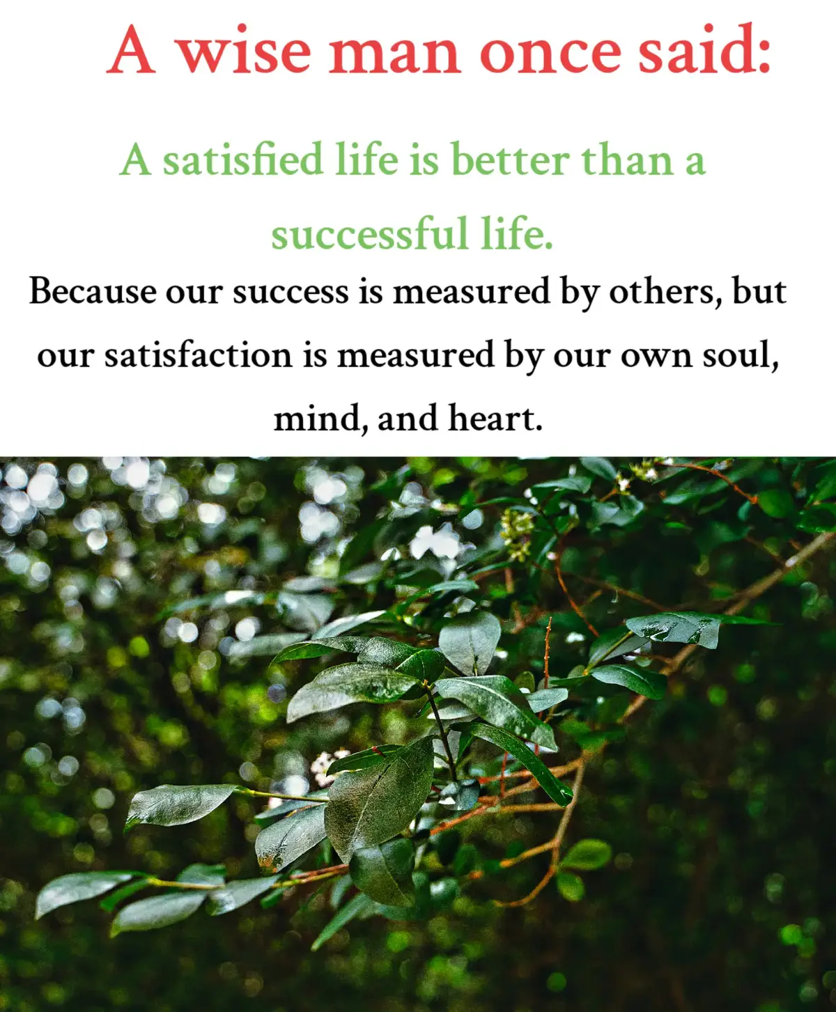 #fyp #fyppppppppppppppppppppppp #quoets 