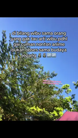 apalah minimal ga usah ngatain kalo ga tau arti nya 👺#fyp #masukberanda #4u #sindiran #wibu 