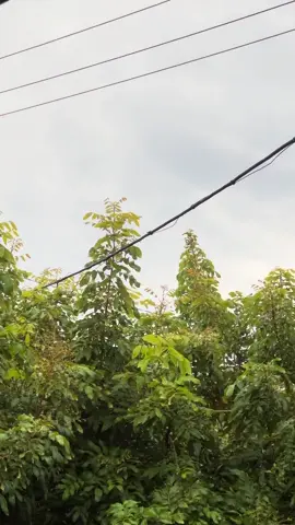 🤩 #beatfimodifikasi #platbaniboss #stylekt #fyp #lewatberanda 