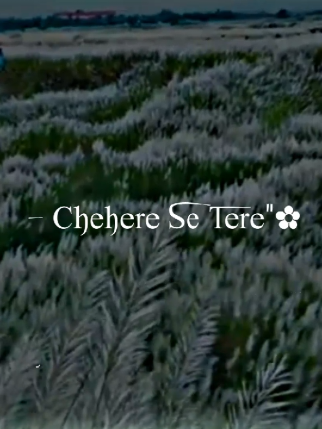 Refreshing your mind.....!!❤️‍🩹❤️‍🩹❤️‍🩹 #emotion #islamic_video  #gojol #nasheedsislamic  #nasheed 