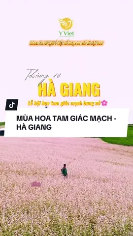 ✨ Hà Giang tháng 10 – Mùa hoa tam giác mạch bung nở ✨ Bạn đã sẵn sàng chìm đắm trong sắc tím lãng mạn trải dài khắp cao nguyên đá Đồng Văn chưa? 🌸 Không chỉ có hoa, mà còn là lễ hội rộn ràng, văn hóa đặc sắc và những trải nghiệm đáng nhớ chỉ có ở Hà Giang mùa này 🏔️ 📍 Check-in mùa hoa đẹp nhất trong năm 👉 Đặt tour ngay để không bỏ lỡ!  #DuLichYViet #hagiang #hoatamgiacmach #ilovetiktok #dulichhagiang 