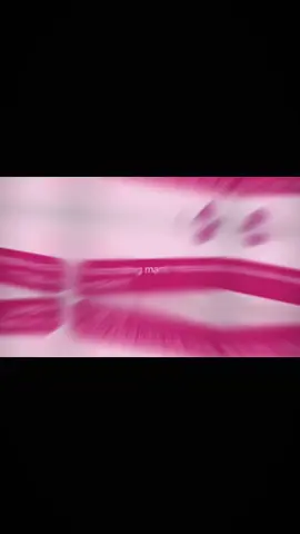 4 con tướng này mạnh😈#xuhuong #xu #xhuongtiktok #xuhuong #xu 
