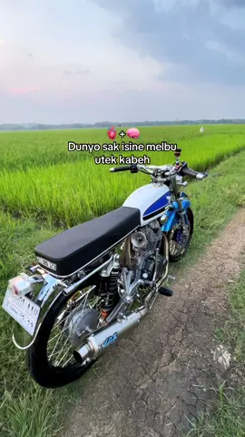 Buang kerak apa buang perasaan?🙂 #cb #fypシ゚ #beranda #xyzbca #4u 