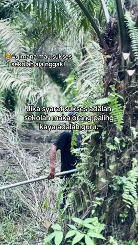 #kulisawit #kulimudapunyamasadepan #putussekolah #petanisawit#fyppppppppppppppppppppppp 