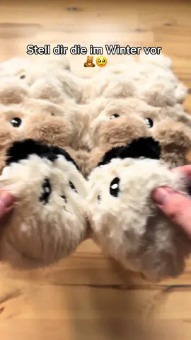 Schau dir an wie süß die sind 🥹