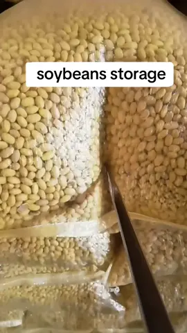 Soybeans packed for storage 🌱 #food