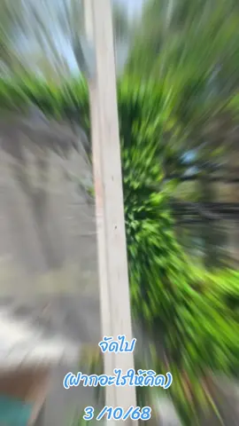 จัดไป ปักเสา 12 ธรรมดาพร้อมติดตั้งคานหม้อแปลง หาดสุรินทร์#การไฟฟ้าส่วนภูมิภาคอำเภอถลาง  #mot , sir.#วัยรุ่นคุมงาน 