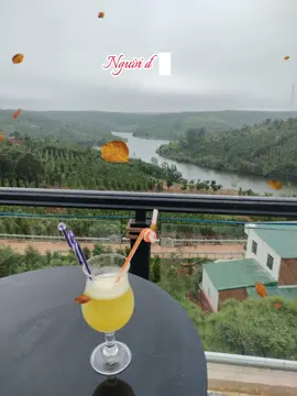 Giấc Mơ Không Về #CapCut #nhacchutinh #nhacxuhuongtiktok #viewsongnui #thomongcanhdep 