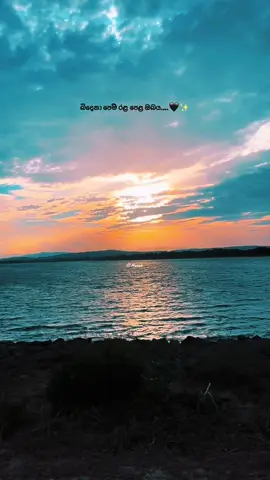 බිදෙනා පෙම් රළ පෙළ ඔබය....🤍✨ #polonnaruwa #srilank #positivevibes #fyppppppppppppppppppppppp 