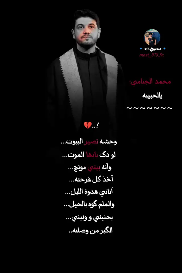 #محمد_الجنامي #قصائد #شيعي #ياعلي #fyp 