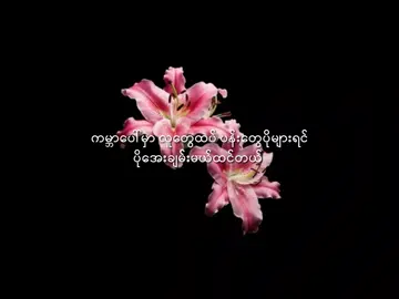 #flowers #pinterest #fypシ #viral #foryoupage #fyp #blowthisup #dontletthisflop 