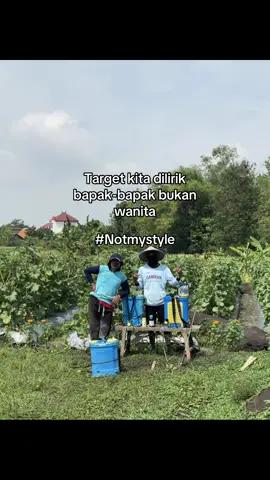 Penyemprotan nutrisi fase generatif 🍈 #petanimuda #petanimilenial #fyp #petanimelon #petani 
