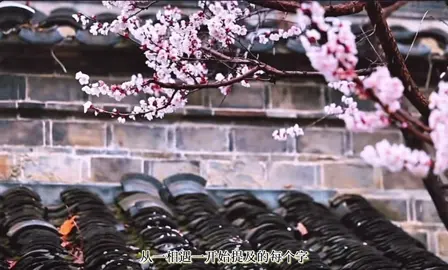 🍂: 每一份遇见，不是缘就是劫。 #昙花一现雨及时
