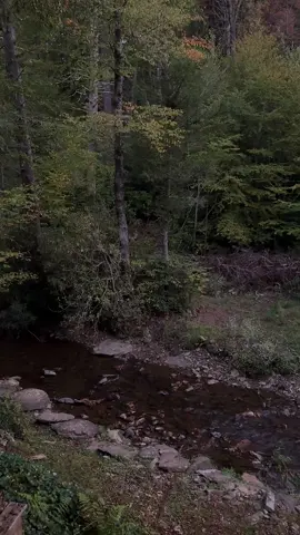Good morning from #boone #nc #peaceful 