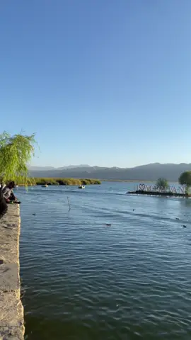 Iran ..🖤 #zrebar
