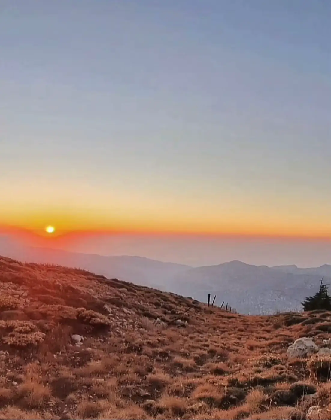 انا على العهد💛✌️#اكسبلورexplore #اكسبلورexplore #fypシ #viralvideo #capcut 