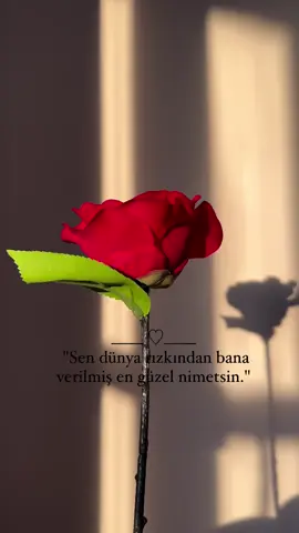 🌹❤️