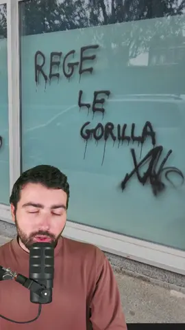 le tag Rege Le Gorilla 