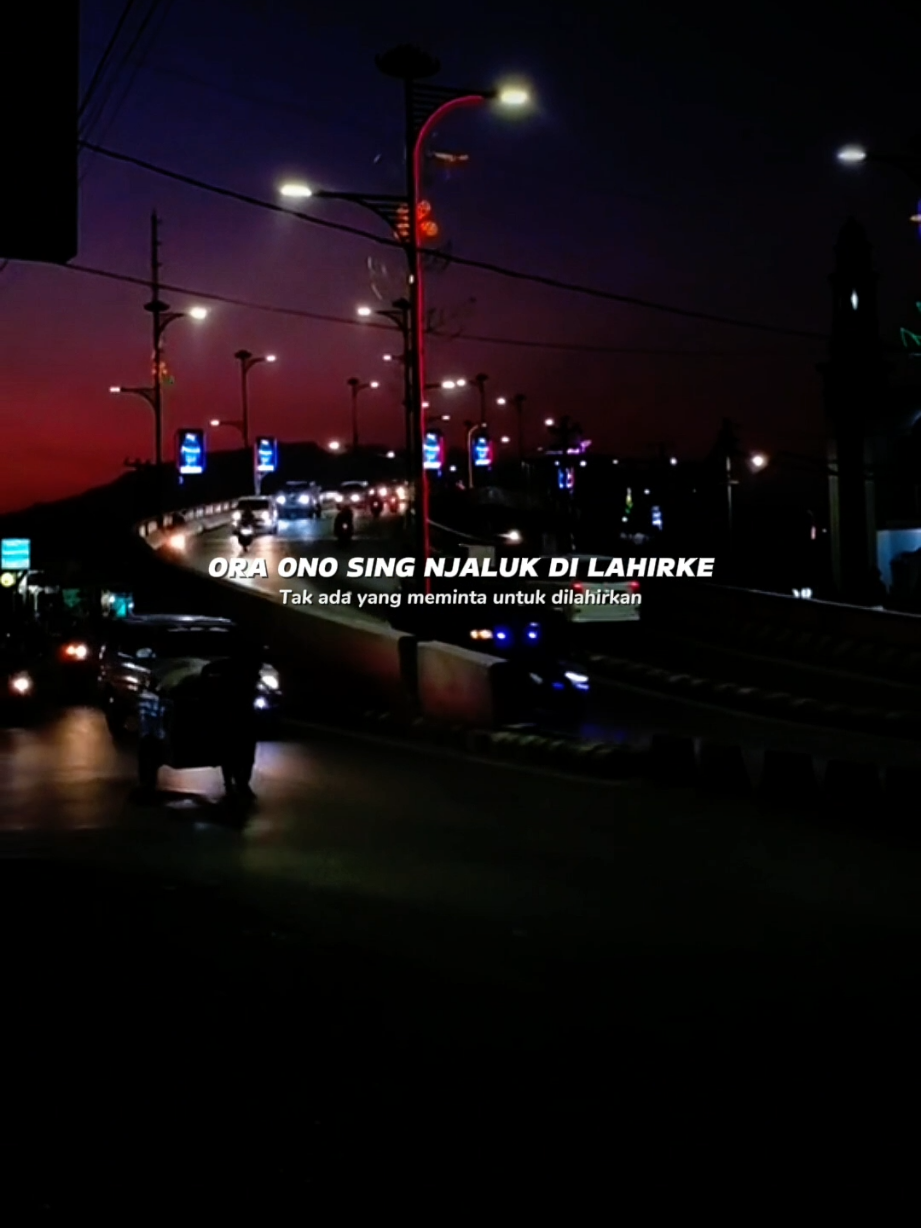 Ora ono sing njaluk di lahirke #egowongtuo #dindateratu #fyp #liriklagu #terjemahan #lagujawa #solo24jam 