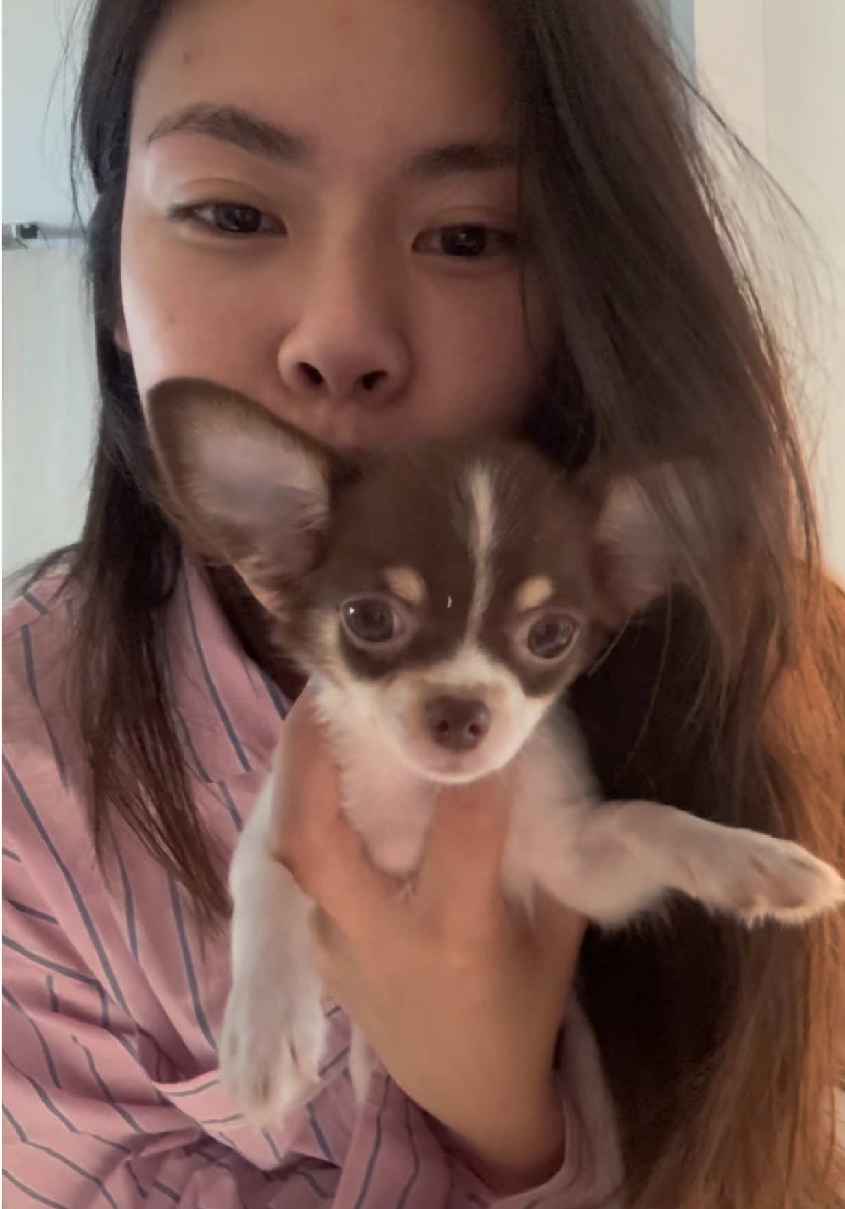 แฮปนะเพื่อนรักกกก #ชิวาว่า #happybirthday 