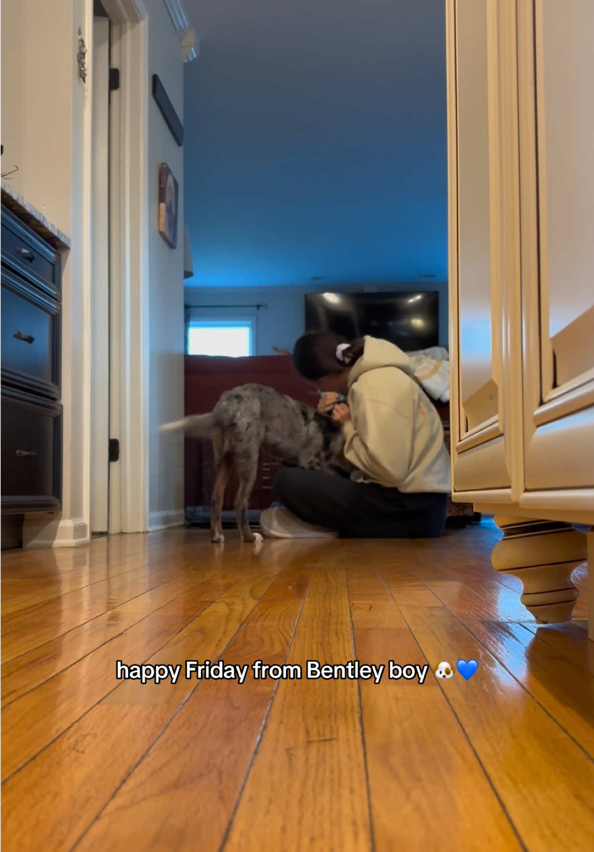 Happy Friday 🐶💙  #weekendmood #dogsoftiktok #puppytok #puppylife #dogtok 