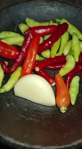 aktifitas mulih kerjo..