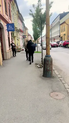 Đứng trước con đường mình chọn, nếu sai là bài học, Còn đúng sẽ là tương lai!#73quangbinh #xuhuong 