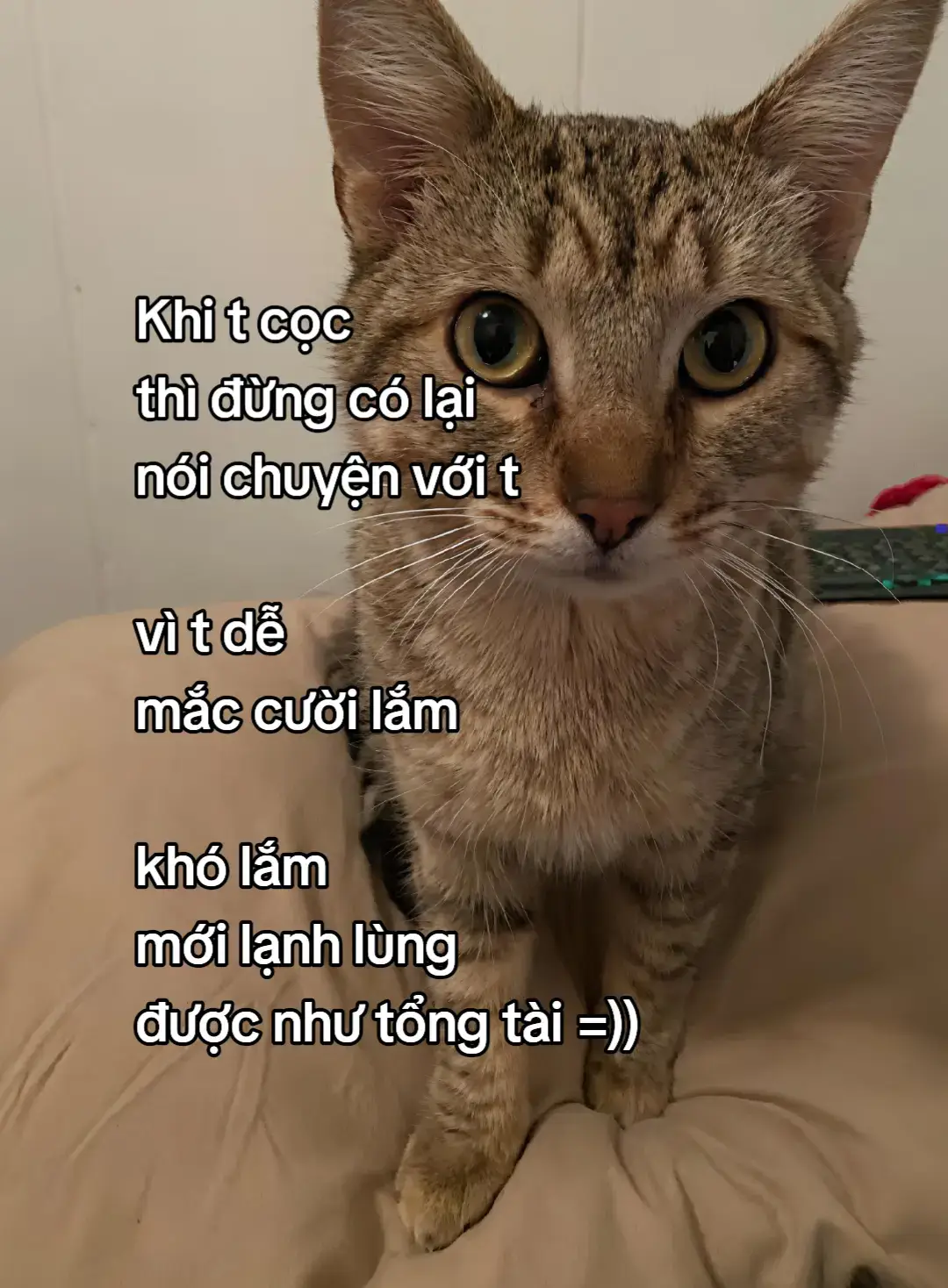 =))))))) #xh #xhtiktok 