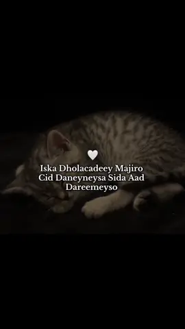 Xqiqdih 🥲❤️#viewsproblem💔 #mushtaqey🌷 