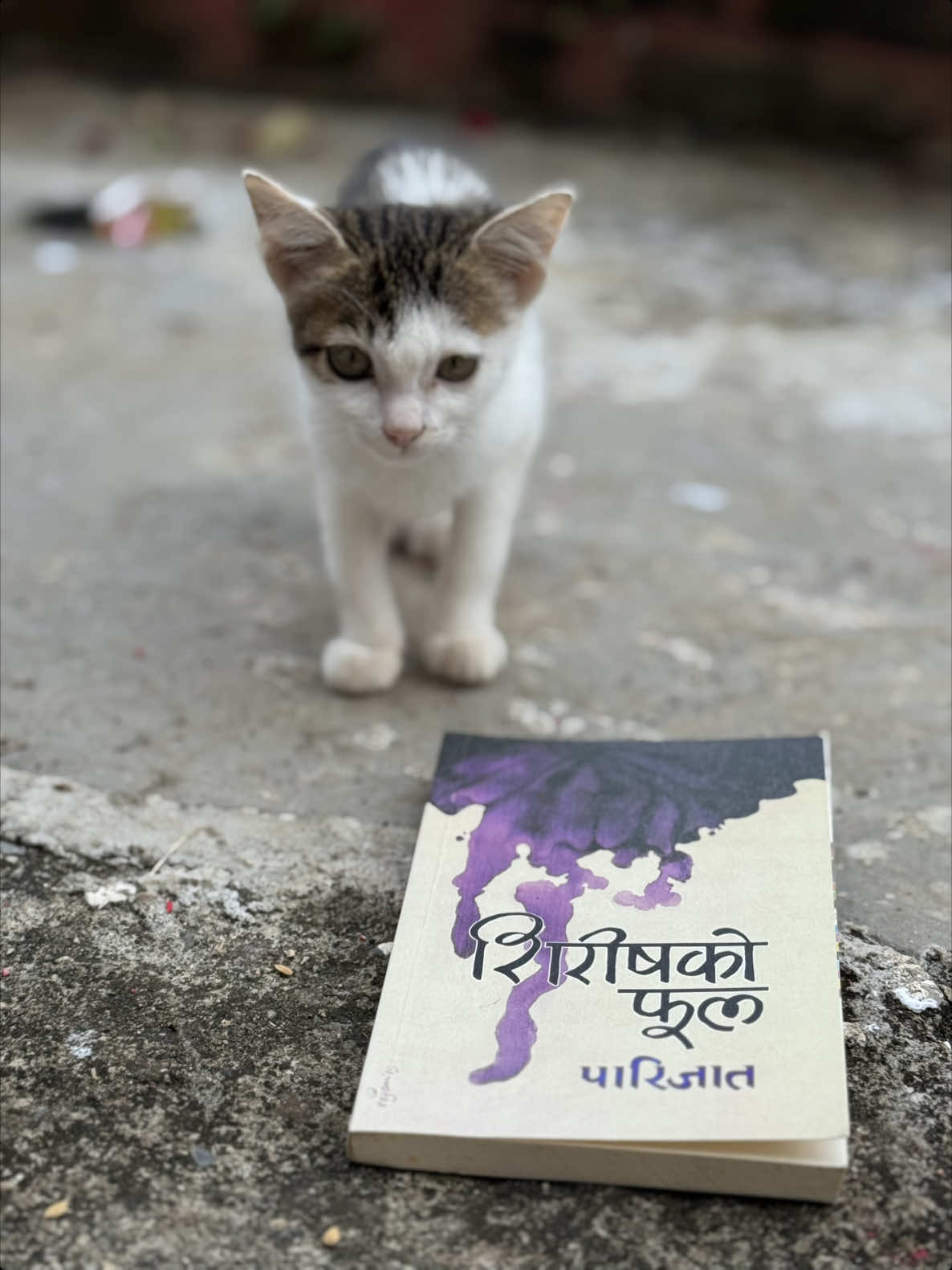 #fyp #BookTok #foryoupage #bookquotes #goviral 