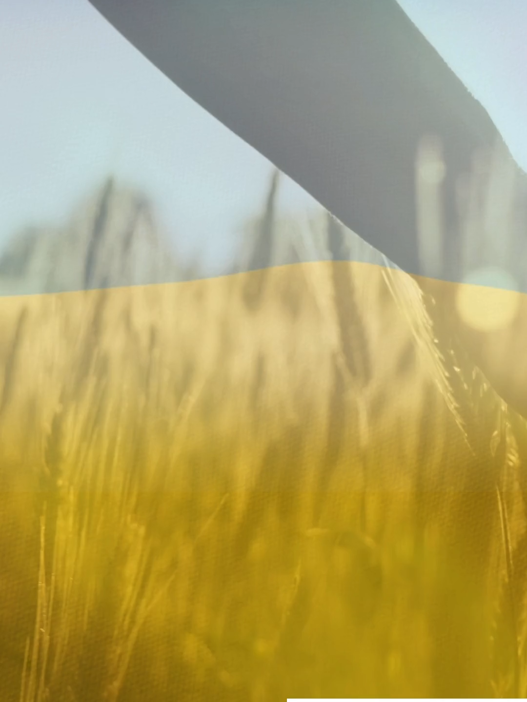 Slava Ukraini. Juuri nyt keräämme varoja hätäapuun Ukrainassa. Lahjoita 5e, Lähetä tekstiviesti SIUNAUS nroon 16499. #trending #viral #piplia #voimasanoja #raamattu #bible #biblesociety #equality #syys #quote #love #peace #future #equal #trust #lupaus #rauha #soul #meditation #fall #2025 #syksy