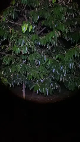 Em sợ quá mọi người ơi 🤣